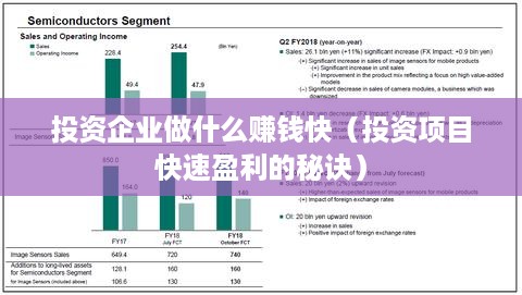 投资企业做什么赚钱快（投资项目快速盈利的秘诀）