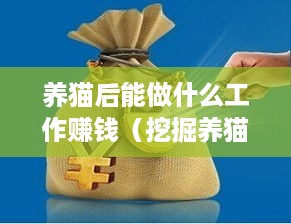 养猫后能做什么工作赚钱（挖掘养猫经济的新机会）