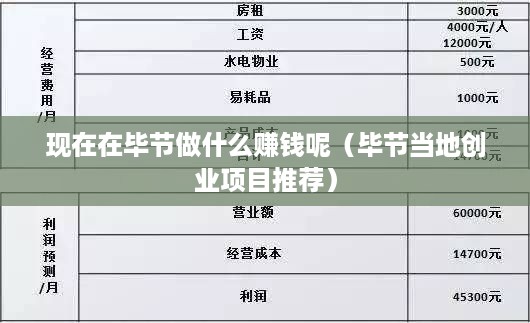 现在在毕节做什么赚钱呢（毕节当地创业项目推荐）