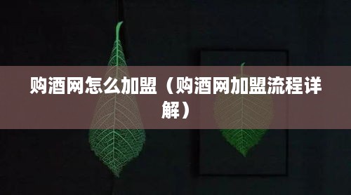 购酒网怎么加盟（购酒网加盟流程详解）