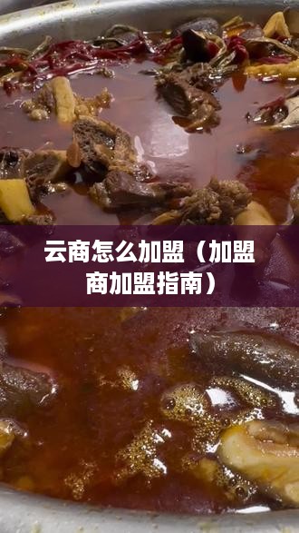 云商怎么加盟（加盟商加盟指南）