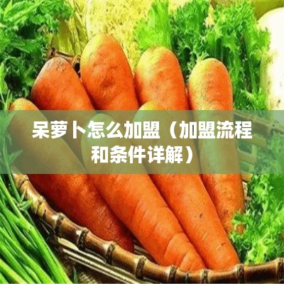呆萝卜怎么加盟（加盟流程和条件详解）