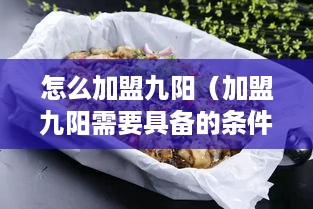 怎么加盟九阳（加盟九阳需要具备的条件和流程）
