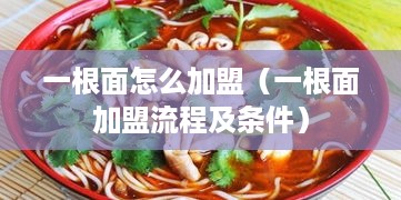 一根面怎么加盟（一根面加盟流程及条件）