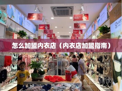 怎么加盟内衣店（内衣店加盟指南）