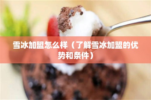雪冰加盟怎么样（了解雪冰加盟的优势和条件）