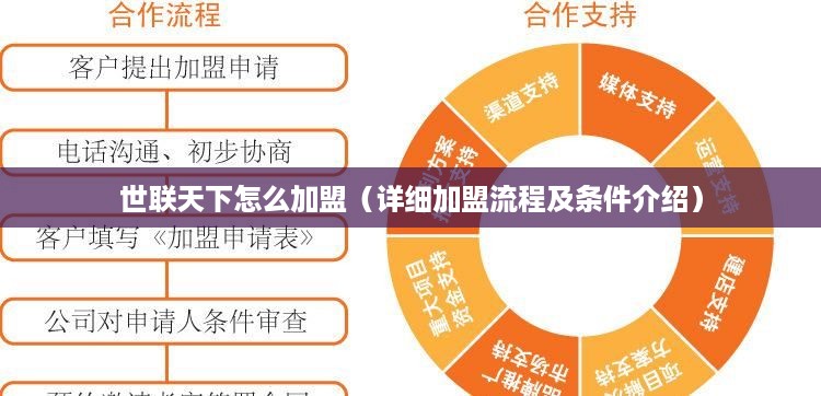 世联天下怎么加盟（详细加盟流程及条件介绍）