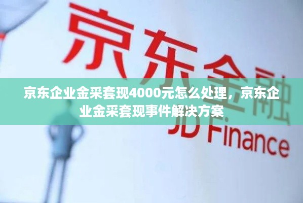 京东企业金采套现4000元怎么处理，京东企业金采套现事件解决方案