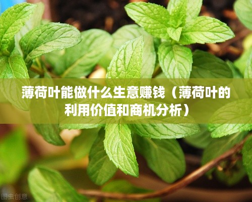 薄荷叶能做什么生意赚钱（薄荷叶的利用价值和商机分析）