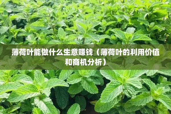 薄荷叶能做什么生意赚钱（薄荷叶的利用价值和商机分析）