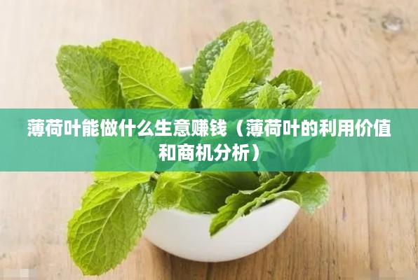 薄荷叶能做什么生意赚钱（薄荷叶的利用价值和商机分析）