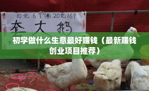 初学做什么生意最好赚钱（最新赚钱创业项目推荐）
