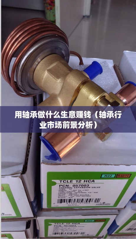 用轴承做什么生意赚钱（轴承行业市场前景分析）