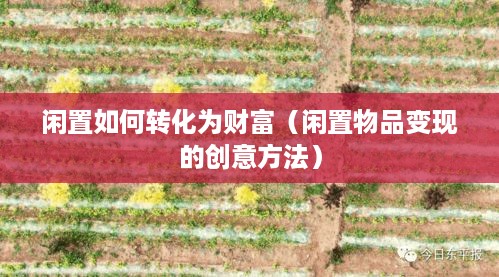 闲置如何转化为财富（闲置物品变现的创意方法）