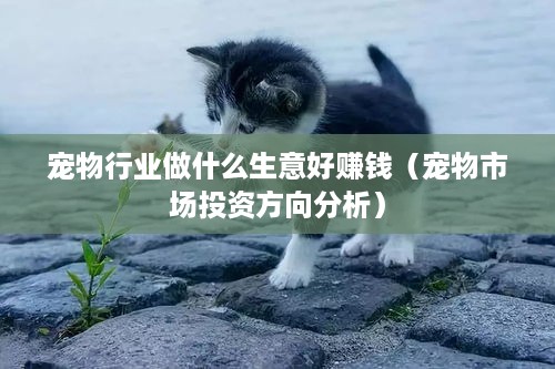 宠物行业做什么生意好赚钱（宠物市场投资方向分析）