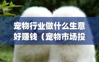 宠物行业做什么生意好赚钱（宠物市场投资方向分析）