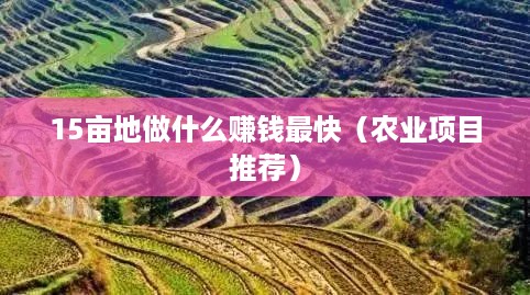 15亩地做什么赚钱最快（农业项目推荐）