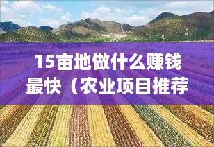15亩地做什么赚钱最快（农业项目推荐）
