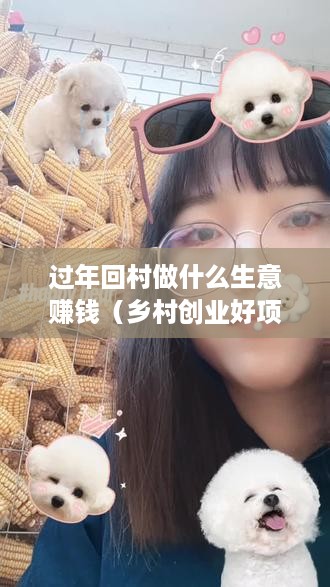 过年回村做什么生意赚钱（乡村创业好项目）