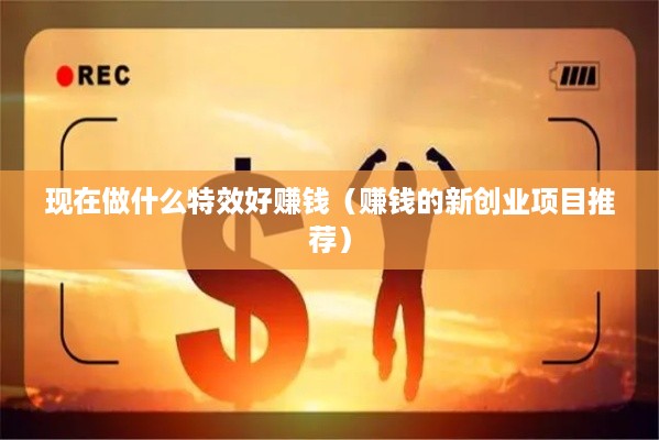 现在做什么特效好赚钱（赚钱的新创业项目推荐）