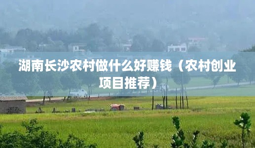 湖南长沙农村做什么好赚钱（农村创业项目推荐）