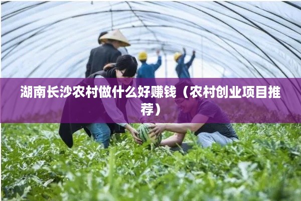 湖南长沙农村做什么好赚钱（农村创业项目推荐）