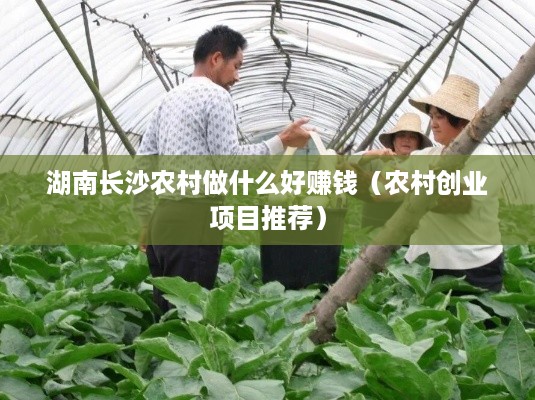 湖南长沙农村做什么好赚钱（农村创业项目推荐）