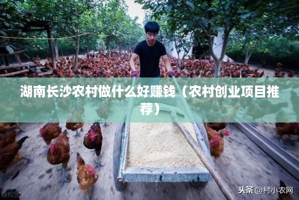湖南长沙农村做什么好赚钱（农村创业项目推荐）