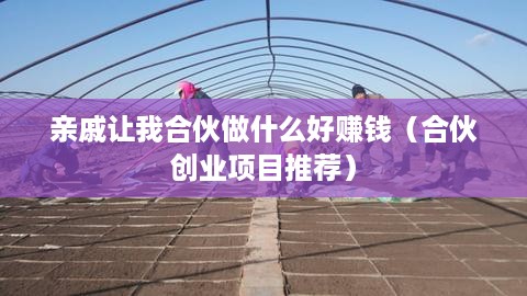 亲戚让我合伙做什么好赚钱（合伙创业项目推荐）