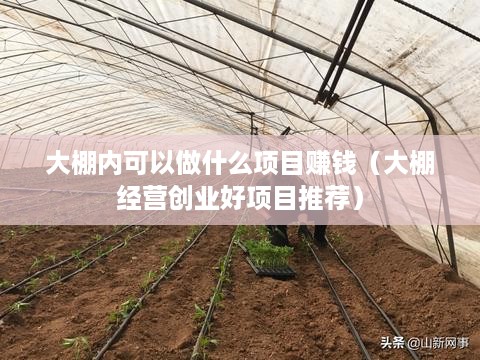大棚内可以做什么项目赚钱（大棚经营创业好项目推荐）