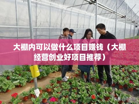 大棚内可以做什么项目赚钱（大棚经营创业好项目推荐）