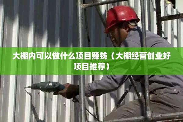 大棚内可以做什么项目赚钱（大棚经营创业好项目推荐）