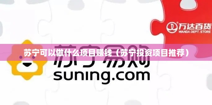 苏宁可以做什么项目赚钱（苏宁投资项目推荐）