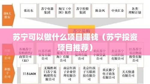 苏宁可以做什么项目赚钱（苏宁投资项目推荐）