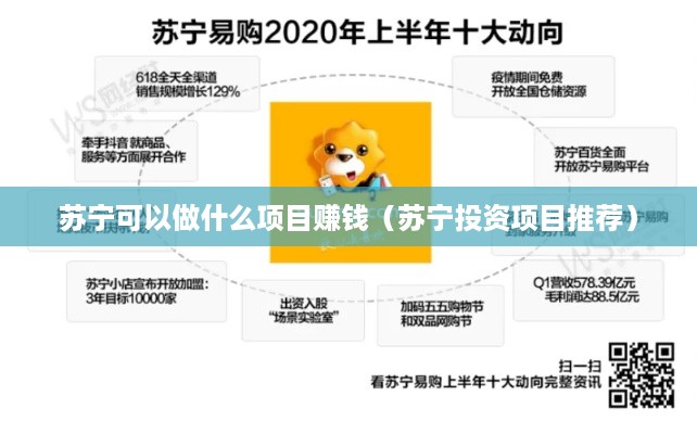 苏宁可以做什么项目赚钱（苏宁投资项目推荐）