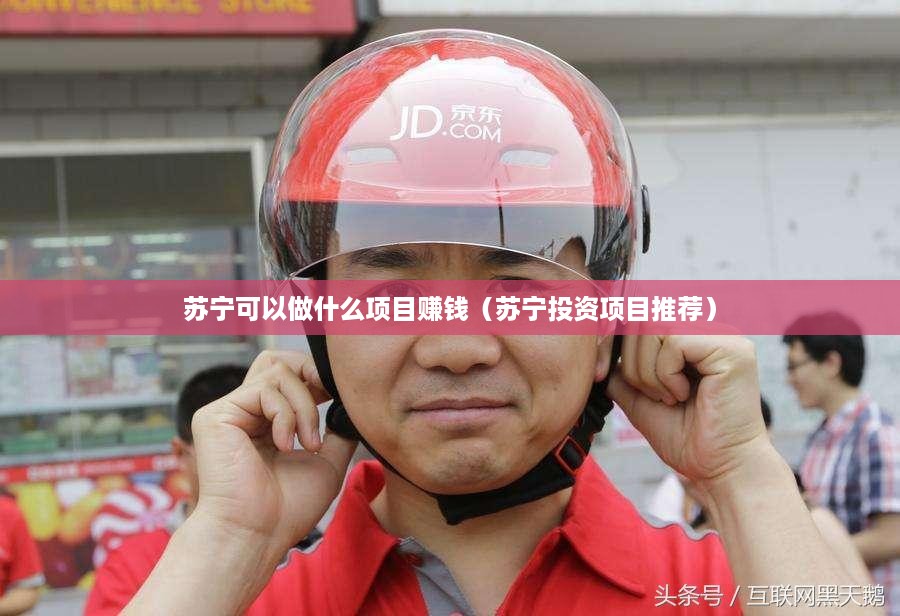 苏宁可以做什么项目赚钱（苏宁投资项目推荐）