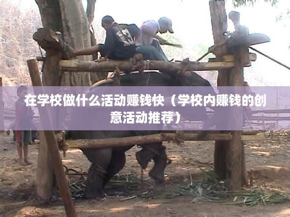 在学校做什么活动赚钱快（学校内赚钱的创意活动推荐）