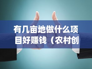 有几亩地做什么项目好赚钱（农村创业项目推荐）