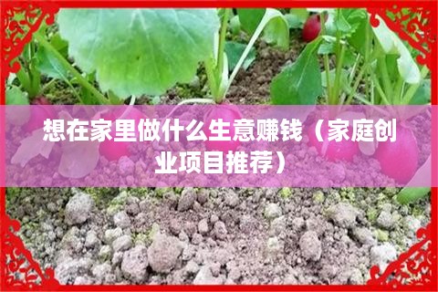 想在家里做什么生意赚钱（家庭创业项目推荐）