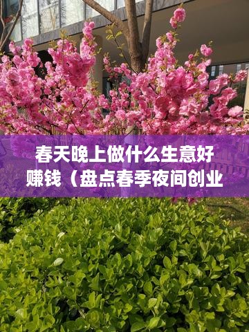 春天晚上做什么生意好赚钱（盘点春季夜间创业项目）