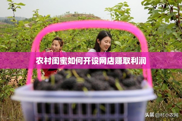 农村闺蜜如何开设网店赚取利润