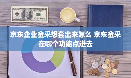 京东企业金采想套出来怎么 京东金采在哪个功能点进去