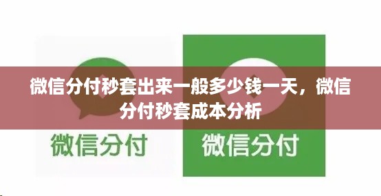 微信分付秒套出来一般多少钱一天，微信分付秒套成本分析