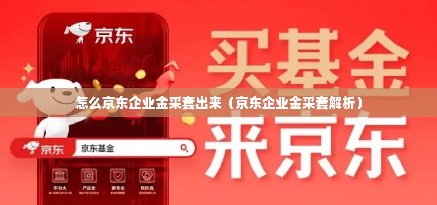怎么京东企业金采套出来（京东企业金采套解析）