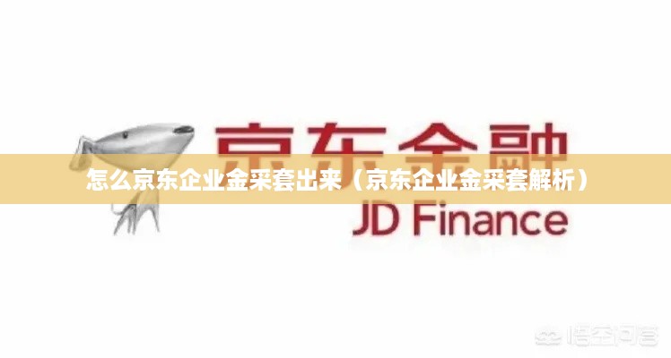 怎么京东企业金采套出来（京东企业金采套解析）