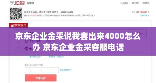 京东企业金采说我套出来4000怎么办 京东企业金采客服电话