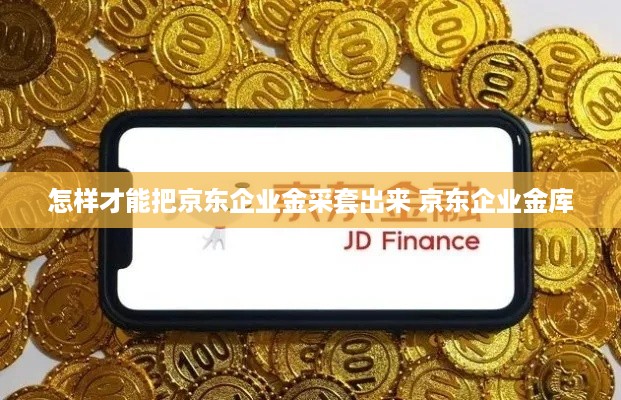 怎样才能把京东企业金采套出来 京东企业金库