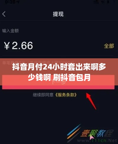 抖音月付24小时套出来啊多少钱啊 刷抖音包月