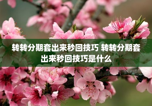 转转分期套出来秒回技巧 转转分期套出来秒回技巧是什么