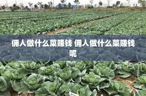佣人做什么菜赚钱 佣人做什么菜赚钱呢